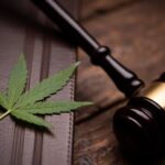 decriminalize cannabis legislation passes