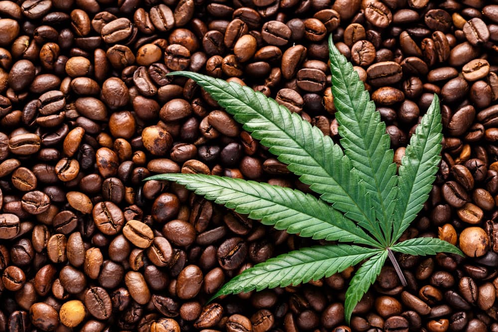 How to Make Cannabis Coffee | Cannabutter Digest