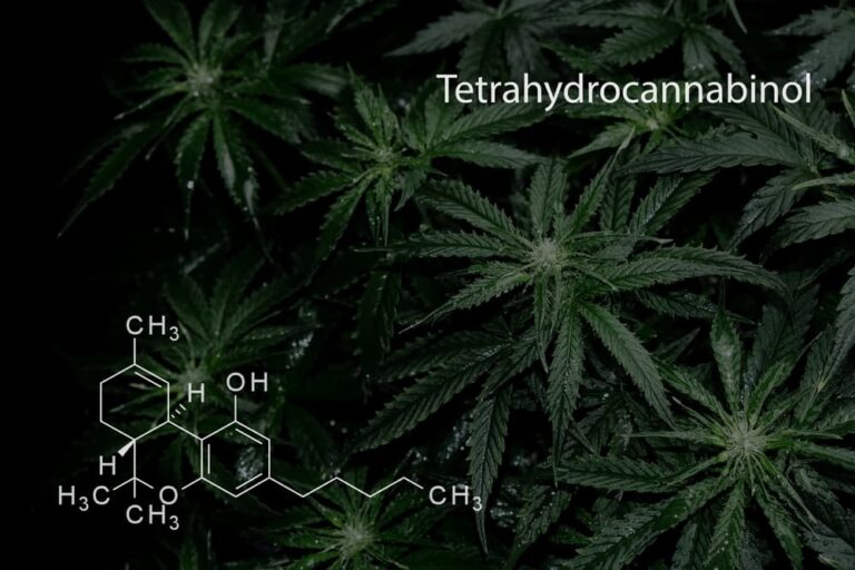 What Is Tetrahydrocannabinol? | The Cannabis Dictionary By Cannabutter ...