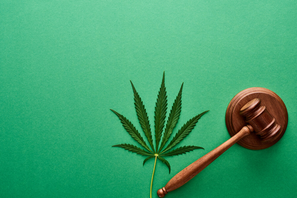 Senate Again Takes Up SAFE Banking Act Cannabutter Digest