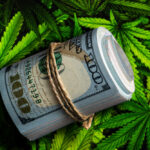 Maryland’s First Legal Weed Haul Totals $87 Million