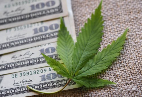 Minnesota Approves  Million Investment in Local Cannabis Cultivation and Manufacturing