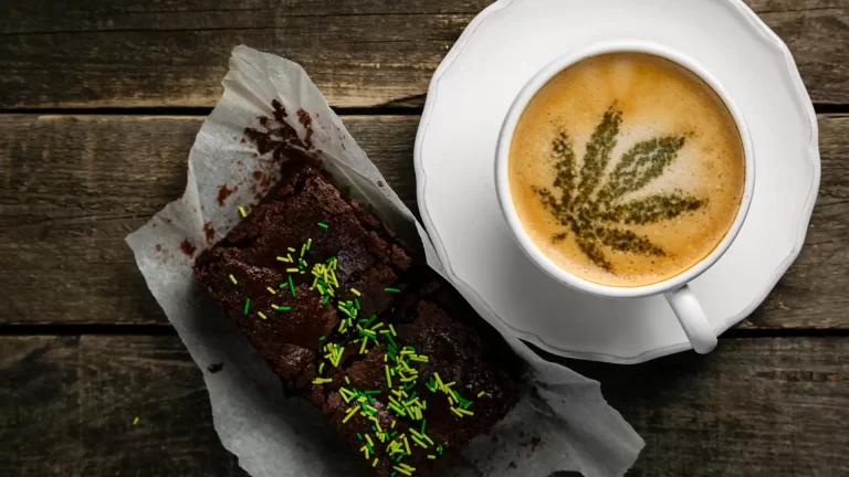 California Law Could Make Cannabis Cafes a Reality Image