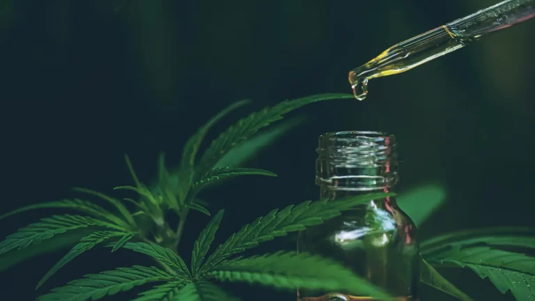 Study Finds CBD Oil Could Significantly Accelerate Wound Healing Image